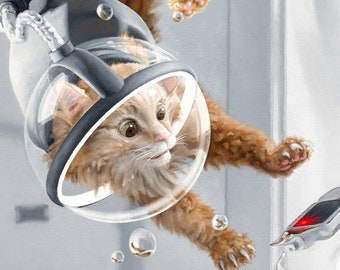 May include: A ginger cat wearing a clear plastic helmet with a white background.