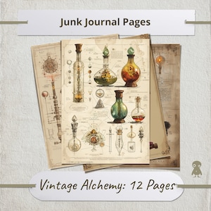 12 pages vintage de potions d'alchimie pour le journal indésirable Illustration d'élixir mystique Diagramme de laboratoire fantastique Décoration magique Impression d'art alchimique DIY vintage