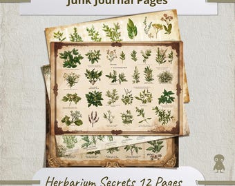 Vintage Botanical Illustration Set Antique Herb Plant Prints Poster Herbal Wall Art Home Decor Nature Lover Gift Magical Grimoire Witch