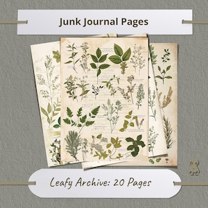 Ensemble d'illustrations botaniques vintage, éléments floraux inspirés de la nature, art de l'herbier, feuilles à l'aquarelle pour la création de scrapbooking, style décoratif