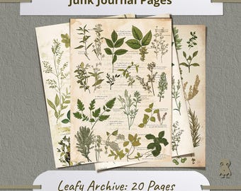 Vintage Botanical Illustration Set Floral Elements Nature Inspired Herbarium Art Watercolor Leaves For Crafting Scrapbooking Decor Style