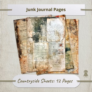 Hojas de campo 12 páginas Vintage Ephemera Junk Journal Kit Acentos de acuarela Letras antiguas Sellos Etiquetas de registro Conjunto de papel desgastado