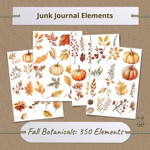 Elegante kit di diario di scarto 22 pagine artistiche uniche con 350 elementi diversi, botanici, floreali, vintage, album di ritagli, collage fai da te, misti