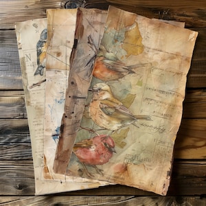 4 Vividi set digitali di opere d'arte aviaria Uccelli colorati su carte vintage Scrapbook creativo e diario Illustrazione di uccelli Collage Arredamento stampabile