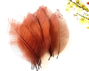 25 Bodhi Skeleton Leaves Duży brązowy papier suszony Naturalny dekoracyjny ręcznie barwiony liść Scrapbooking Card Making Wedding Favor Art Craft Project