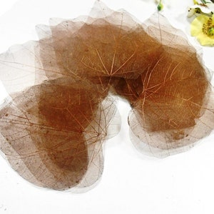 30 Foglie scheletro bodhi marrone scuro essiccato carta decorativa naturale carta scrapbooking carta facendo wedding favor art craft project
