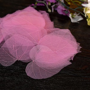 30 Bodhi Skeleton Foglie Rosa Rosa Essiccato Foglia Naturale Foglie Artigianali Carta Scrapbooking Card Fare Matrimonio Favore Disegno D'Arte Progetto