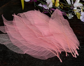 25 Bodhi Skeleton Leaves Duży różowy papier suszony Naturalny dekoracyjny ręcznie barwiony liść Scrapbooking Card Making Wedding Favor Art Project