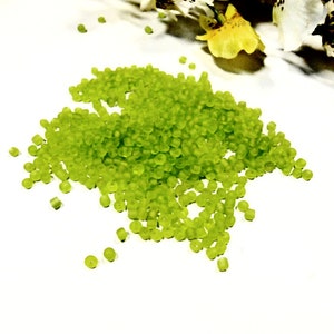 20 g Light Green Reseda 2 mm Glass Seed Bead Matte Frosted Round Rocailles Preciosa Czech Jewelry Craft Making Embroidery Art Weaving Supply