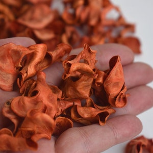 50 pezzi di petali di fiori naturali arancioni, coriandoli per matrimonio, cestino di fiori secchi per bambine, decorazione da tavolo, riempitivo per vasi, bomboniere per addio al nubilato