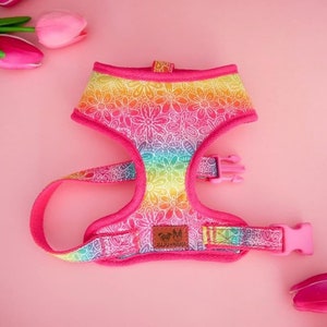 Rainbow floral dog harness/ colorful girl dog harness vest/ pride pink dog harness/ medium flower dog harness/ female small puppy harness