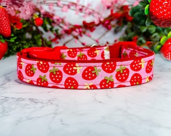 May include: A red dog collar with a pink fabric featuring a pattern of red strawberries with green leaves and white seeds. The collar has a red interior and a red plastic buckle. The background includes strawberries and pink flowers.