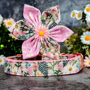 Daisy Girl dog collar with flower/ Rifle paper co vintage floral dog collar/ botanical cottagecore dog collar/ pastel pink boho dog collar