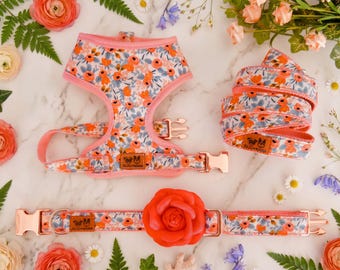 Floral girl dog harness set/ rifle paper co harness and leash/ flower harness vest/ Custom dog lead and harness