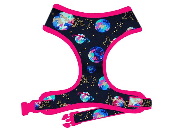 planet dog harness