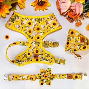 Sunflower dog harness leash set/ Fall dog harness vest/Autumn harvest harness and lead/ girl dog harness/Thanksgiving floral dog harness