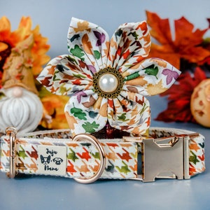 Collar de perro a cuadros para niña con flores/collar con hojas de pata de gallo/collar de perro de otoño/collar de perro de Acción de Gracias/collar de perro de cosecha pequeña y grande