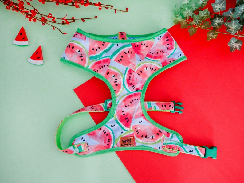 Blue Watermelon Dog Harness Vest Cute Boy Dog Harness Green Etsy