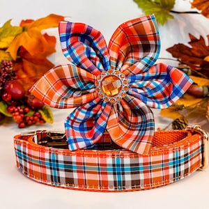 Collar de perro a cuadros otoñales con flores/collar de perro a cuadros para niña de otoño/collar de perro de cosecha de Acción de Gracias/collar de perro pequeño y grande/collar de cachorro festivo