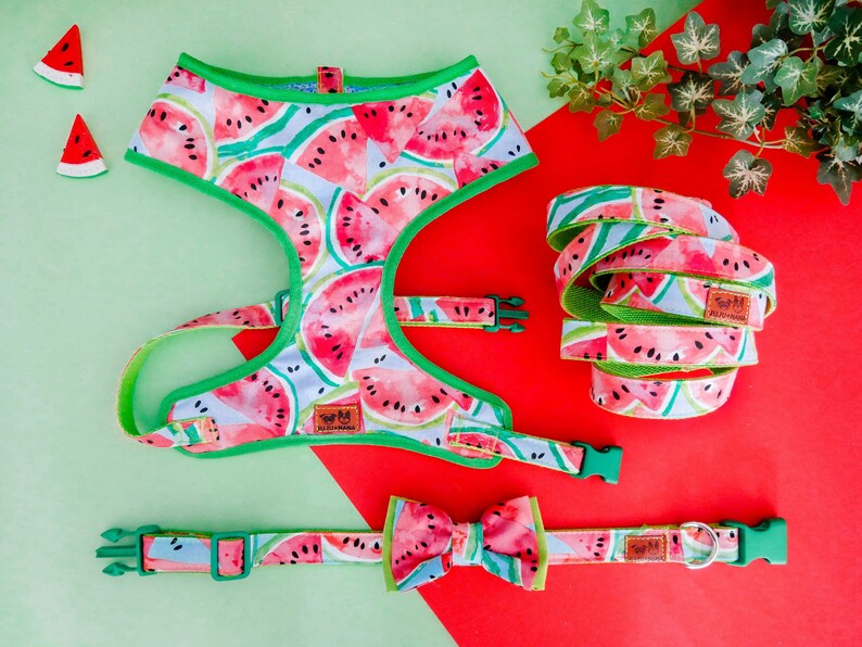 Blue Watermelon Dog Harness Vest Cute Boy Dog Harness Green Etsy