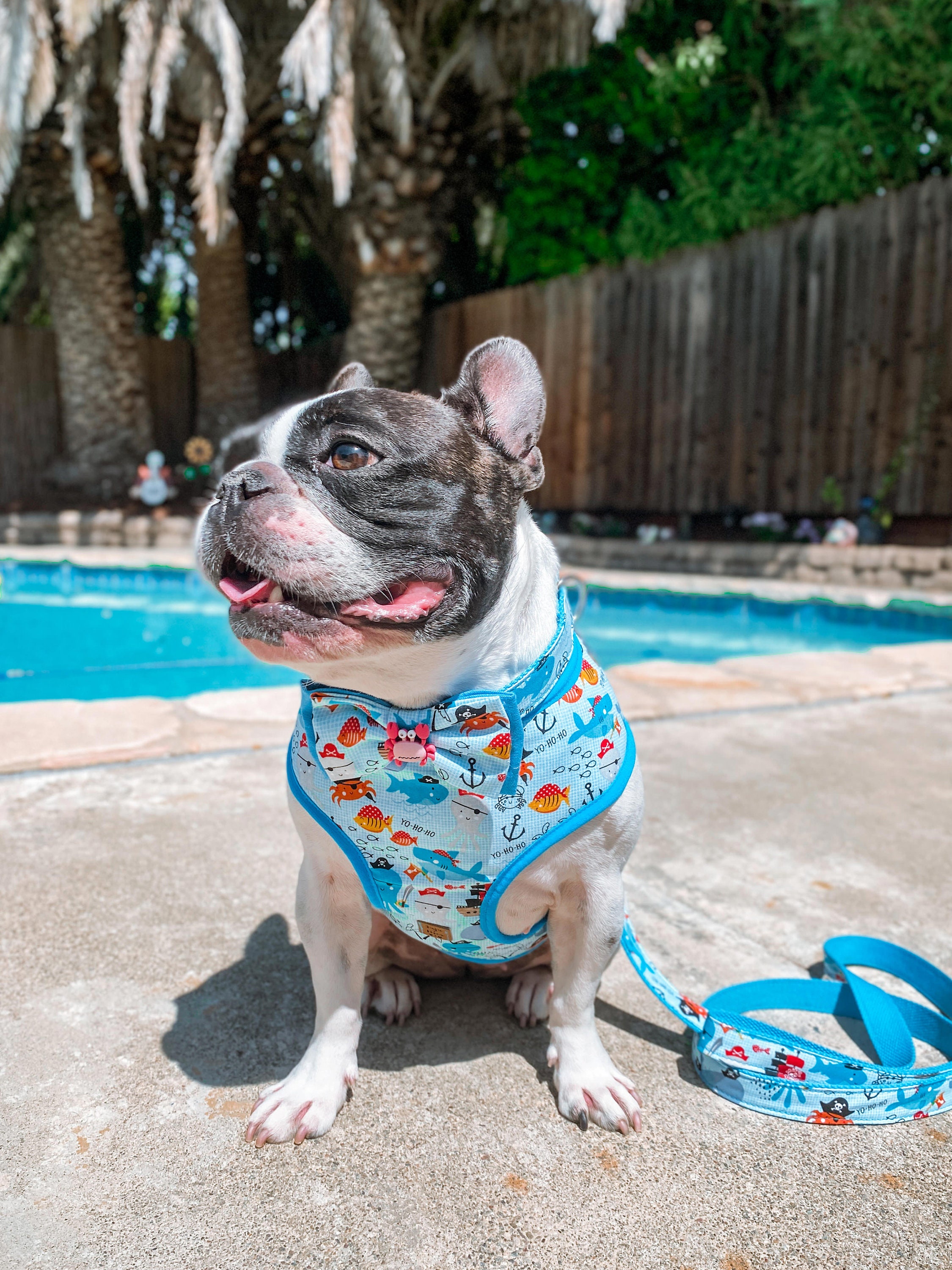 Nautical Beach Dog Harness/ Boy Girl Dog Harness Vest/ Blue Cute