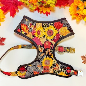 Op de afbeelding: Een hondentuigje met een herfstthema bloemenpatroon met zonnebloemen en bladeren in tinten geel, rood en oranje op een zwarte achtergrond. Het tuigje heeft een zwarte bies en verstelbare bandjes met metalen gespen.