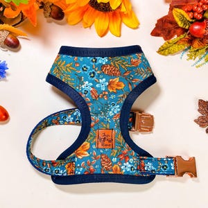 May include: A teal dog harness with a floral and pinecone pattern, accented with navy blue trim and rose gold hardware. The harness features a buckle closure and a matching leash attachment. The design includes the text "Jyn & Nona".