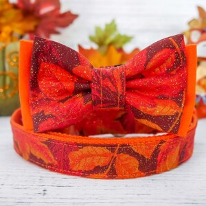 Op de afbeelding: Een herfstthema honden halsband en vlinderdas set. De vlinderdas en halsband hebben een patroon van rode, oranje en bruine bladeren met gouden glitter accenten. De vlinderdas heeft een feloranje midden, en de halsband is bijpassend oranje.