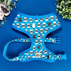 Pug harness vest/ boy cute dog harness/ blue custom harness/ small medium puppy harness/ soft fabric harness/ designer dog harness
