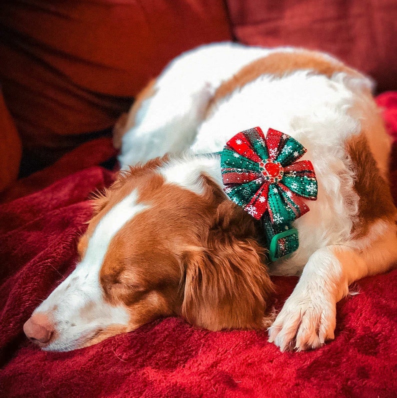 Christmas Dog Collar Flower/ Girl Dog Collar/ Plaid Dog Etsy