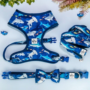 Nautical shark dog harness leash set/ cute boy girl dog harness vest/ beach ocean dog lead and harness/ small medium custom dog harness