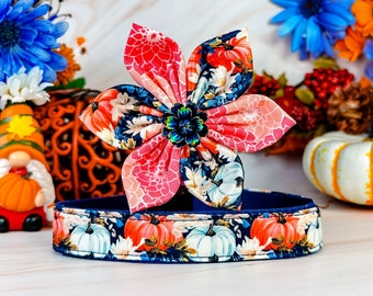 Autumn pumpkin dog collar flower/ floral fall dog collar/ harvest Thanksgiving dog collar/ holiday girl dog collar/ large small medium dog