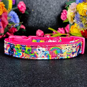 rainbow 90's girl animal dog collar/ colorful leopard pride dog collar/ summer spring winter fall dog collar/ custom  Large small dog collar