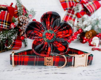May include: A red, black, and green plaid dog collar with a matching flower accessory. The collar has a gold-colored buckle and a small brown tag. The flower is a large, multi-petaled design with a berry-like center.