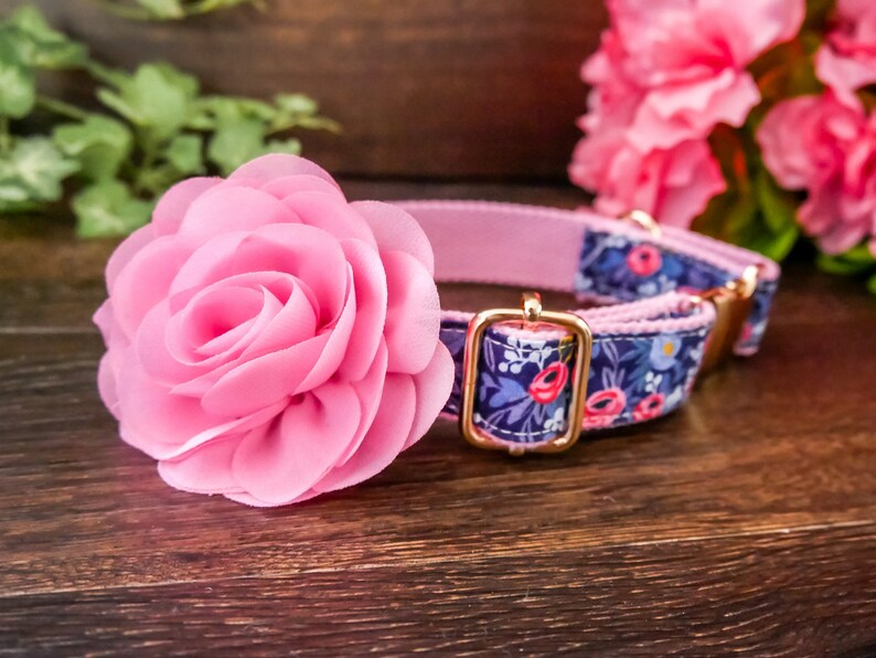 Girl Dog Collar/ Large Floral Dog Collar/ Pink Rose Flower Etsy