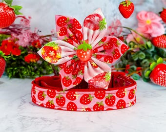 May include: A pink dog collar and flower accessory, both adorned with a repeating strawberry pattern. The flower has a strawberry-shaped center. The background features strawberries and flowers.