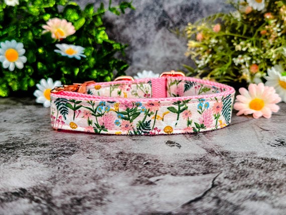 Floral Daisy wildflower dog collar/ pastel pink Rifle paper co collar/ botanical vintage cottagecore collar/ Personalized Engraved Collar