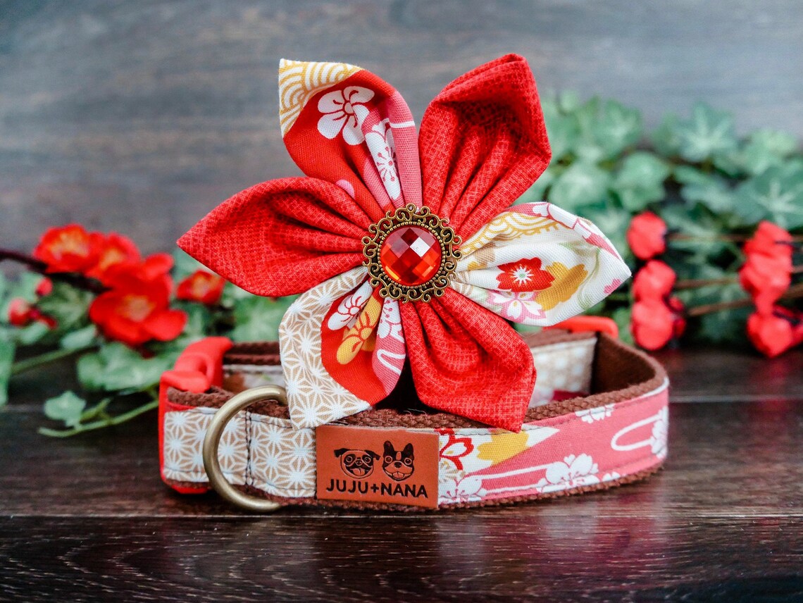 Girl Dog Collar/ Flower Dog Collar/ Red Female Dog Collar/ Etsy