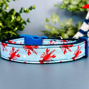 Nautical lobster dog collar/ beach vacation dog collar/ cute ocean dog collar/ pet accessories gift/ large medium collar/ small puppy collar