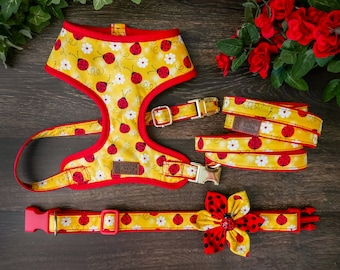 Conjunto de arnés y correa para perro con diseño de mariquita y margarita, arnés floral personalizado para cachorros.