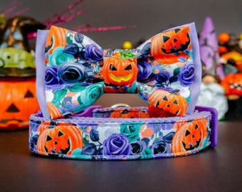 May include: A pet collar with a matching bow tie featuring a pattern of orange jack-o'-lanterns and purple and teal roses. The center of the bow tie is adorned with a small, three-dimensional orange plastic jack-o'-lantern charm.