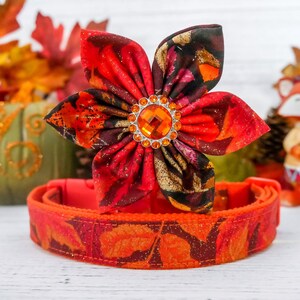 Op de afbeelding: Een rode en oranje hondenriem met een bijpassend bloemaccessoire. De bloem heeft een groot oranje juweel in het midden en is gemaakt van stof met een herfstbladerenpatroon. De halsband is ook versierd met een herfstbladerenpatroon.