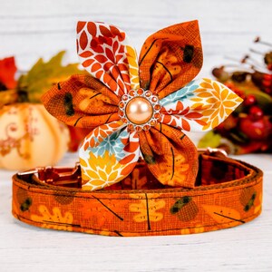 Thanksgiving dog collar flower, Orange Fall dog collar, leaves harvest dog collar, brown acorn dog collar, puppy collar gift, autumn collar