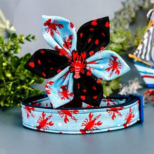 Nautical lobster dog collar with flower/ summer tropical beach dog collar/ vacation ocean blue dog collar/ custom pet accessory puppy gift