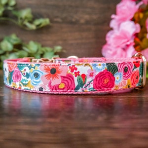 floral girl dog collar/ rifle paper co/ personalized laser engraving buckle collar/ colorful flower dog collar/ boho designer dog collar