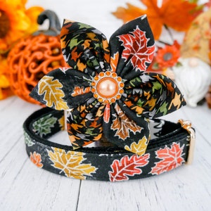 Op de afbeelding: Een zwarte hondenriem met een herfstbladpatroon, gecombineerd met een bijpassend bloemenaccessoire. De bloem heeft een oranje edelsteen in het midden en is omgeven door zwarte stof met herfstbladpatronen. De halsband heeft een goudkleurige gesp.