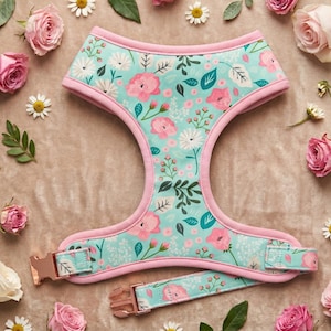 May include: A pet harness featuring a light blue background with a floral pattern of pink roses, white daisies, and green leaves. The harness is trimmed with solid pink piping and includes rose gold metal buckles for secure fastening.