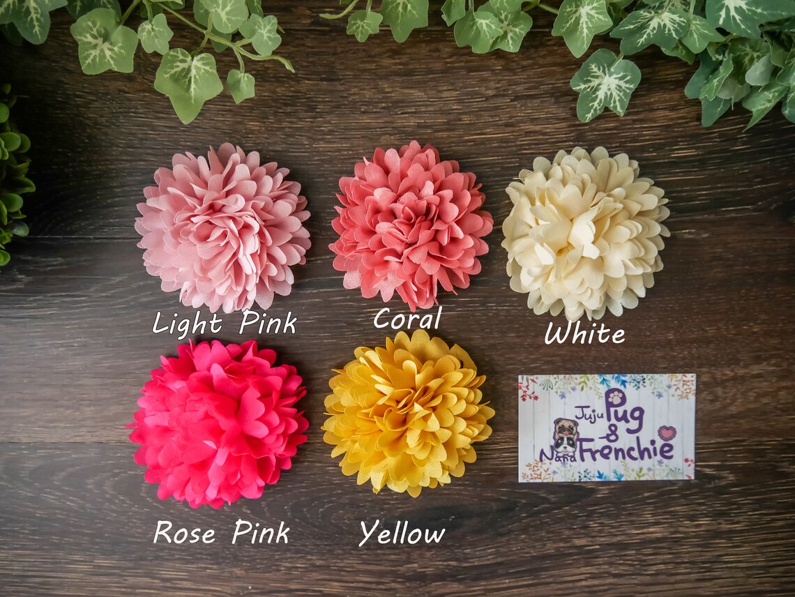 Girl Dog Collar Flower Girl Dog Accessories Female Dog Etsy