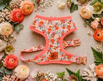 Puede incluir: Un arnés para mascota con estampado floral de rosas naranjas y rosas sobre fondo crema, acentuado con bordes color coral y hebillas de oro rosa. Una pequeña etiqueta rectangular de cuero marrón con el texto Juju Paws está centrada al frente.