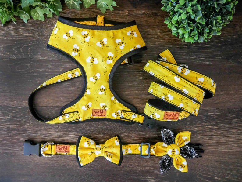 dog collar leash harness set